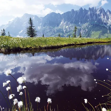 Kuckuck By We Rent *