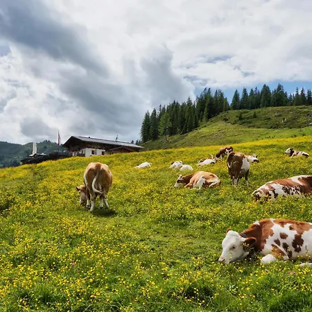 Apartmán Kuckuck By We Rent *