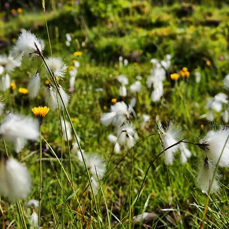 Kuckuck By We Rent, Hochkoenig Summercard Included * Hinterthal