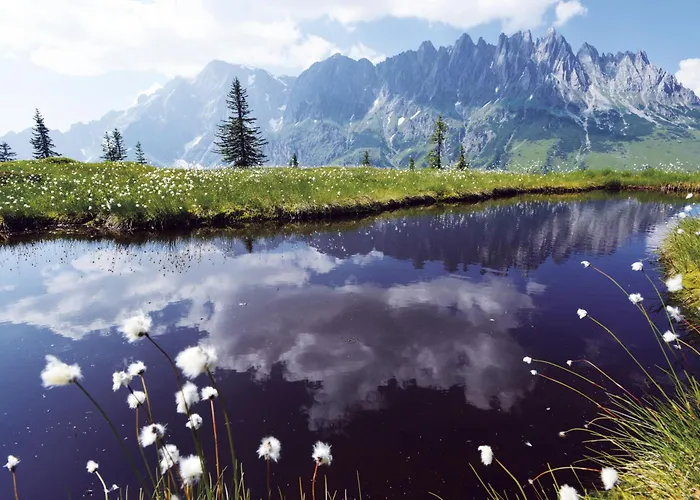 Kuckuck By We Rent *