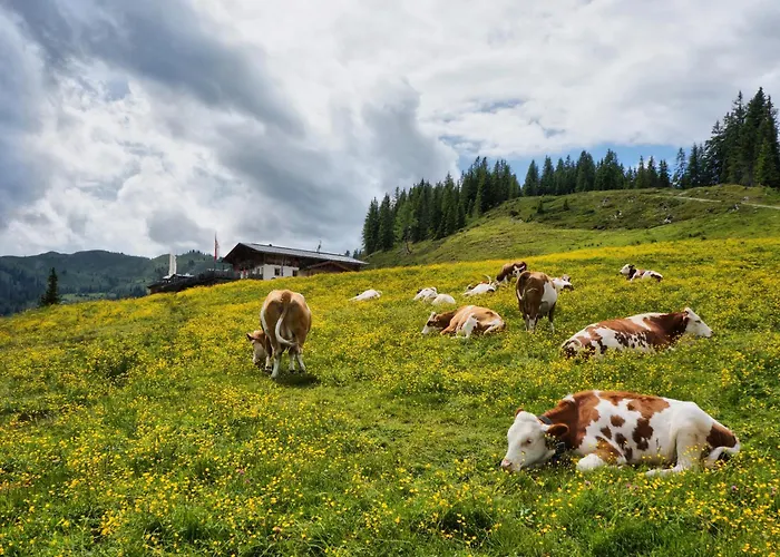 Daire Kuckuck By We Rent *