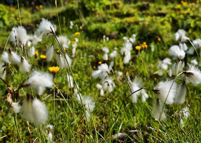 Kuckuck By We Rent, Hochkoenig Summercard Included * Hinterthal